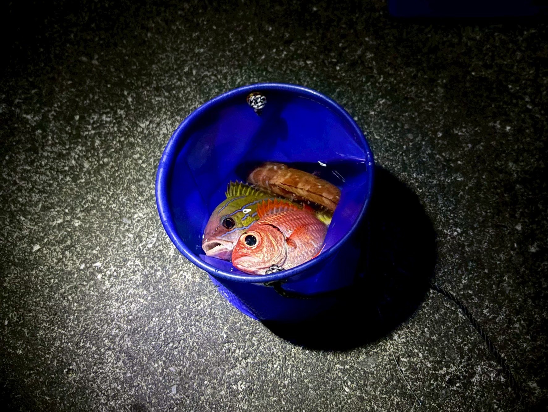 2025年4月集合写真