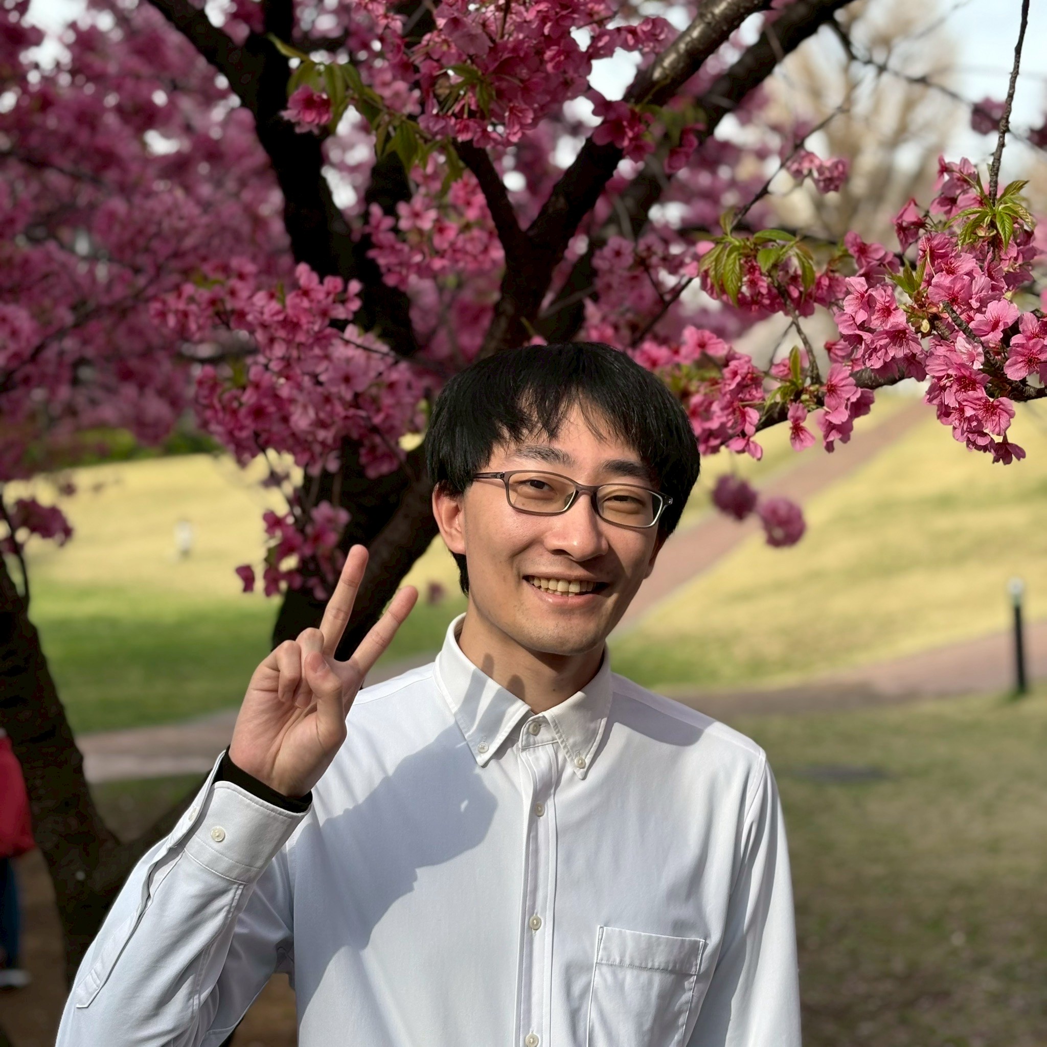 kojima